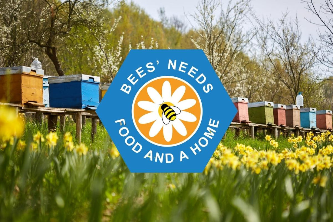 Bees Needs Week