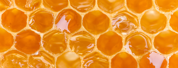 Should You Eat Honeycomb? Benefits, Uses and How to Enjoy It