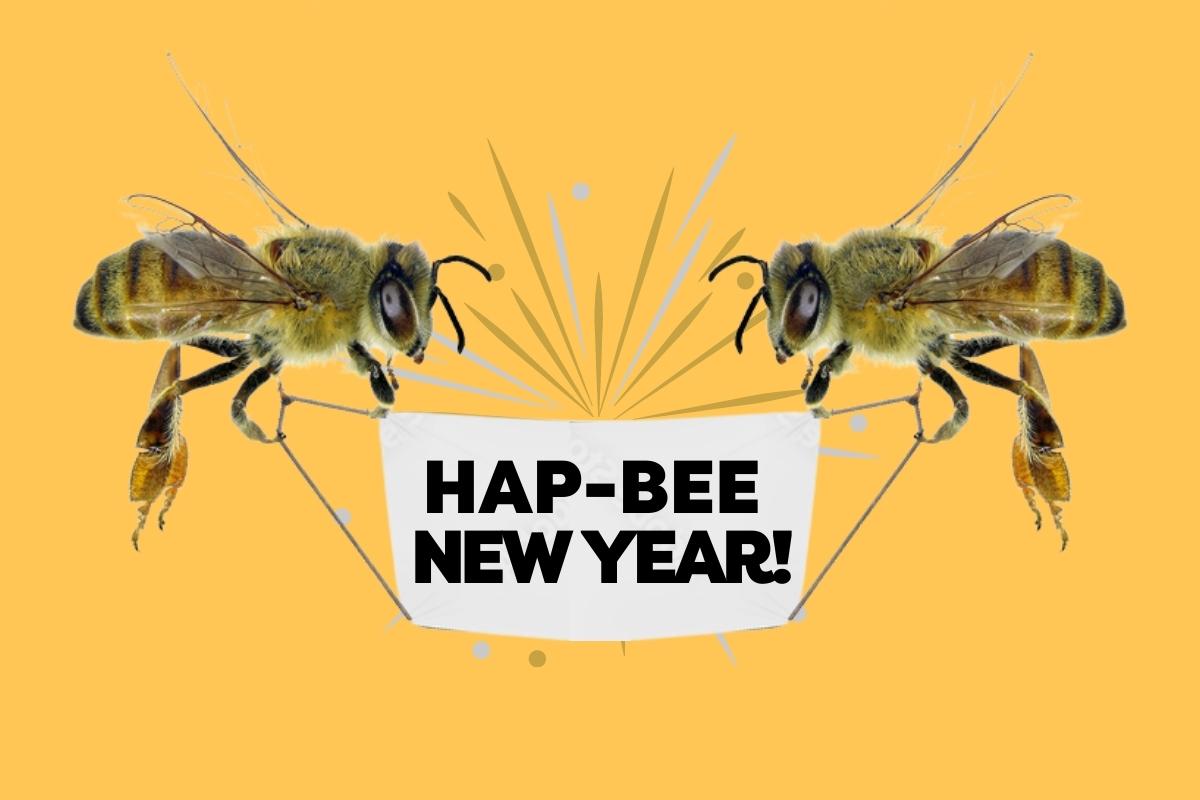 New Year, New Bee! – Hilltop Honey