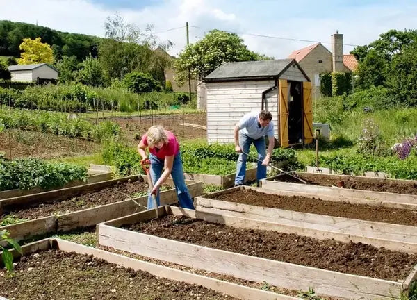 Gardening_Outdoors