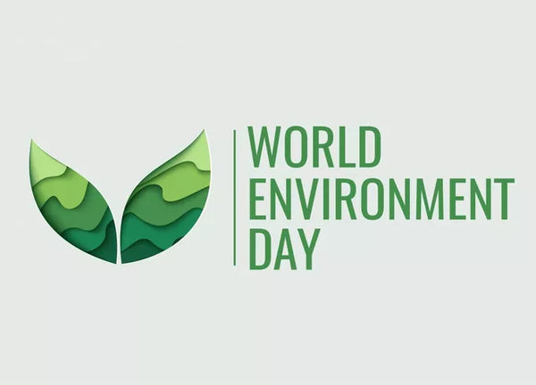 World Environment Day at Hilltop